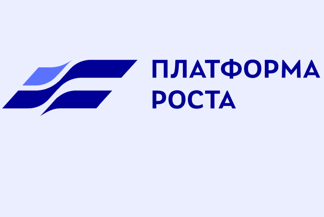 Стратегическая сессия по реализации проекта "Платформа роста" в регионе