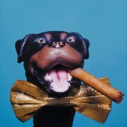 Форш Владислав Форш Владислав