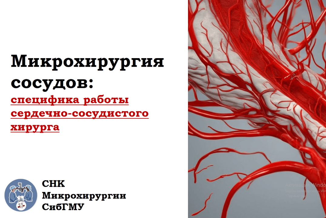 Микрохирургия сосудов: специфика работы сердечно-сосудист...