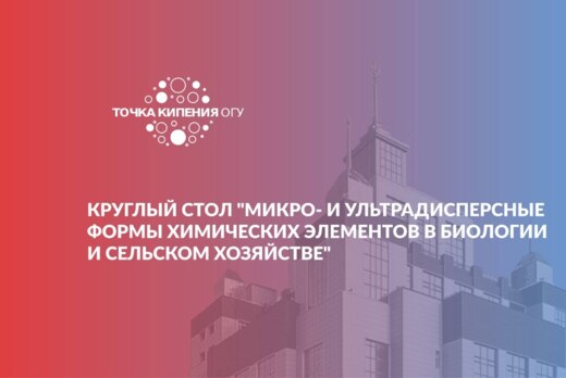 Круглый стол: «Микро- и ультрадисперсные формы химических...