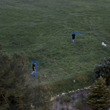 Беспалый Максим Евгеньевич