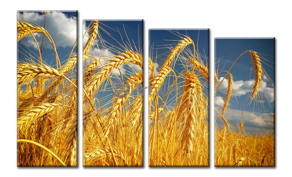 Заседание клуба профессионального мастерства