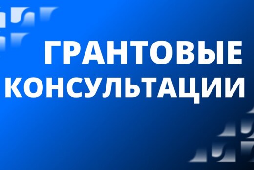 Грантовые консультации про проектам