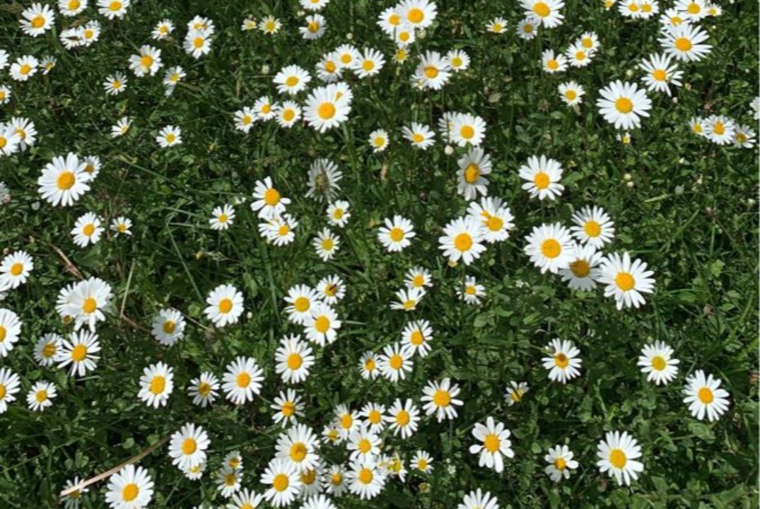 Заседание Профбюро Биологического факультета