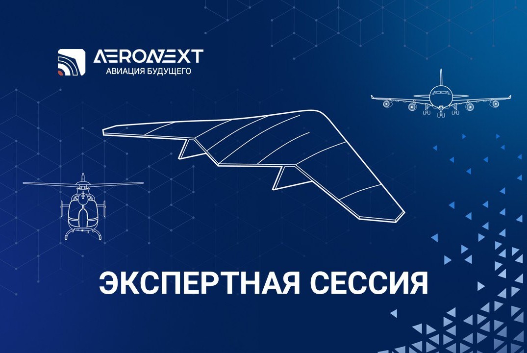 Внедрение сетевого ЭПР для упрощения применения БВС в рег...