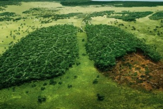 Дискуссионная игра «Экологический бункер»