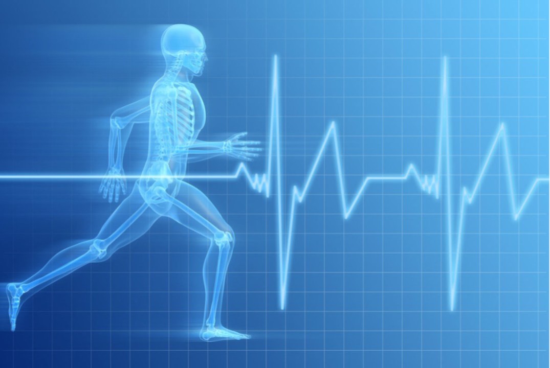 Всероссийская научно-практическая конференция «Физическая культура и спорт: здравоохранение, образование, воспитание»