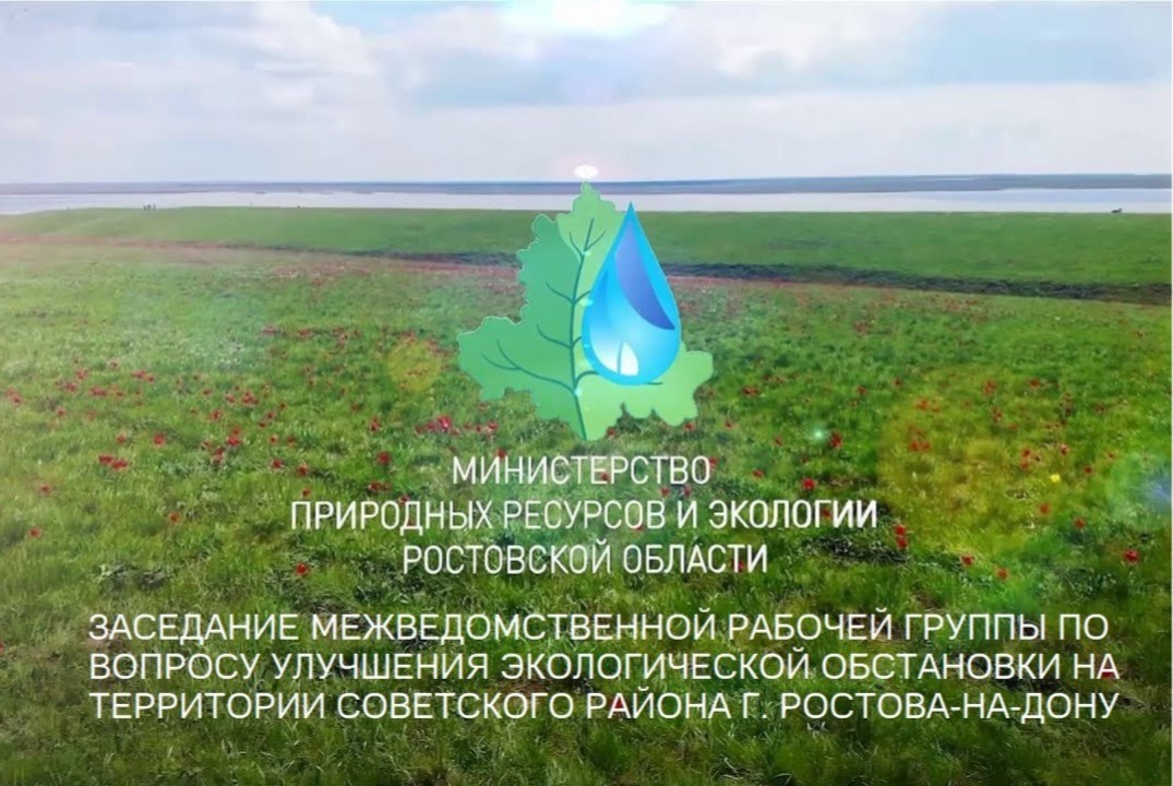 Дружный "Экодвиж"