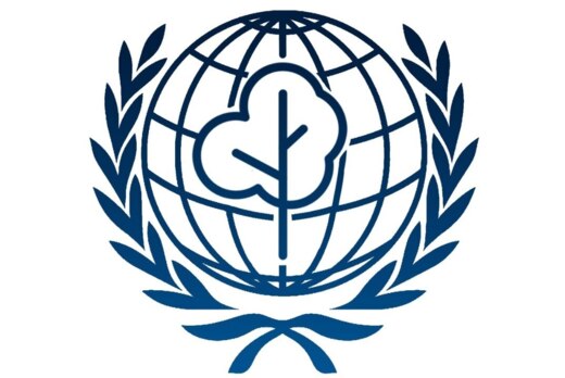 Кейс-игра по экологии клуба "Екатеринбургская международн...