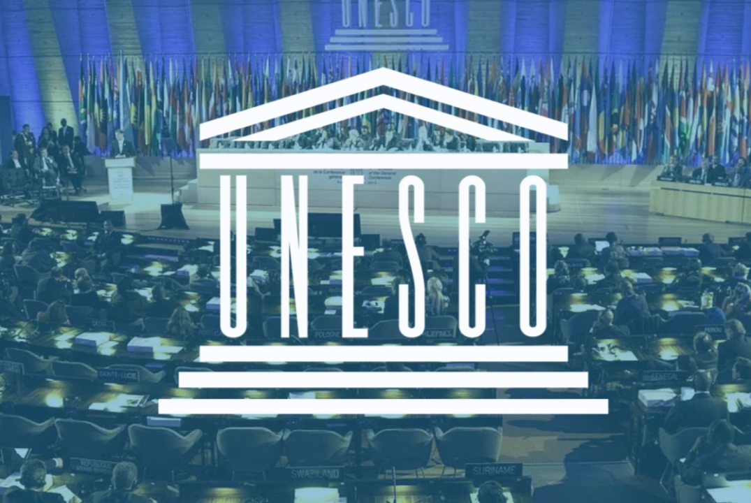 ООН. XI Екатеринбургская международная модель ООН. Комите...