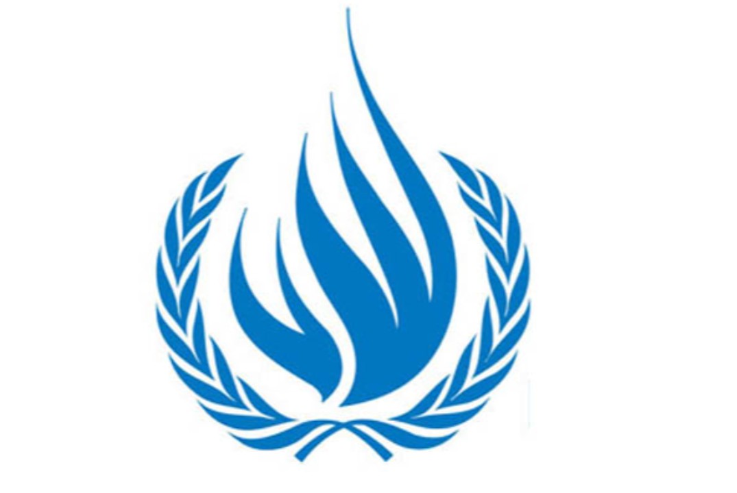 XII Екатеринбургская международная модель ООН. Комитет: С...