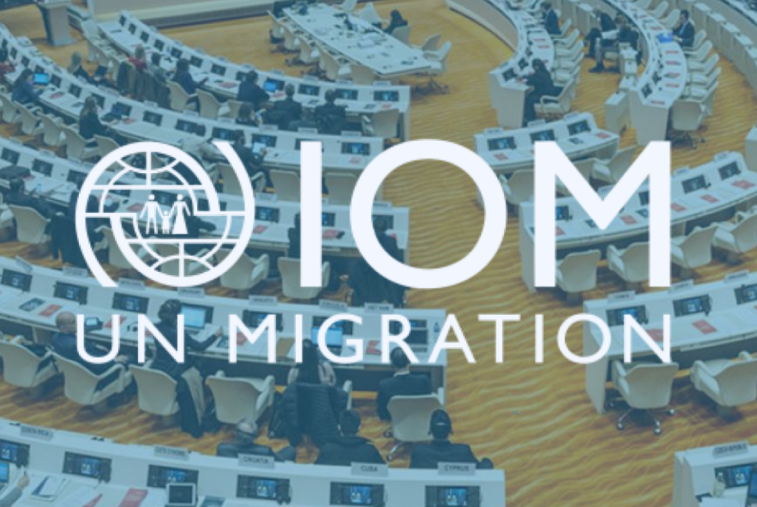 ООН. XI Екатеринбургская международная модель ООН. Комите...