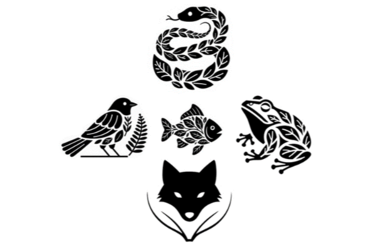 Международная научная конференции «Охрана, воспроизводств...