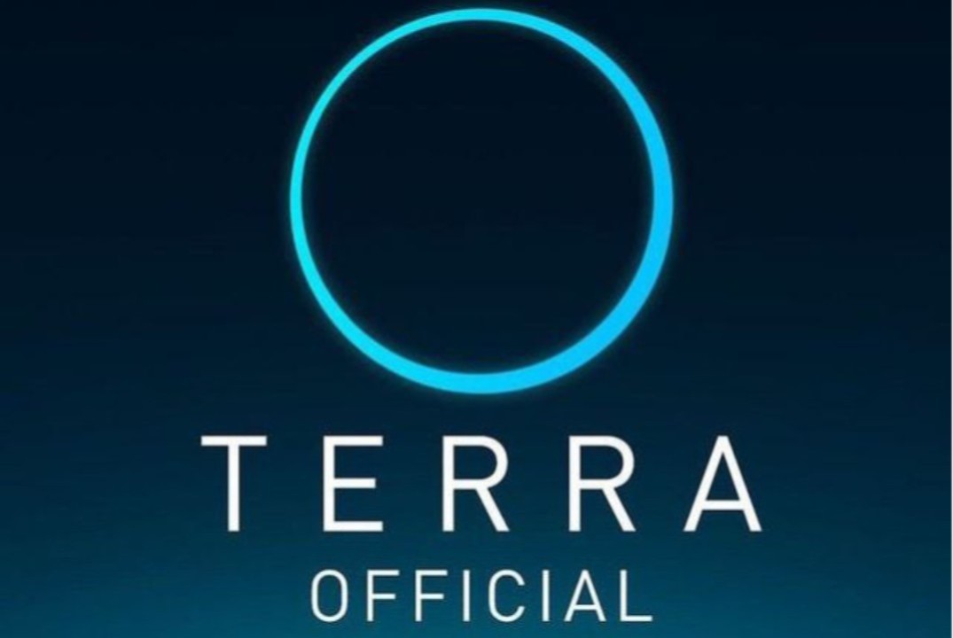 Наставничество Терра