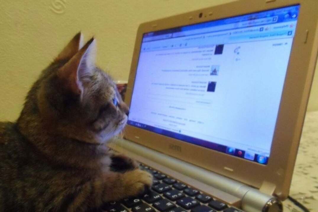 обучение медиа-отдела PCPS