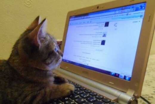 обучение медиа-отдела PCPS