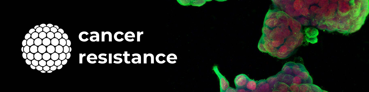 Обложка профиля