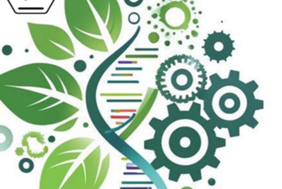 Представление разработок студентов, обучающихся в рамках программы «Научный трек»