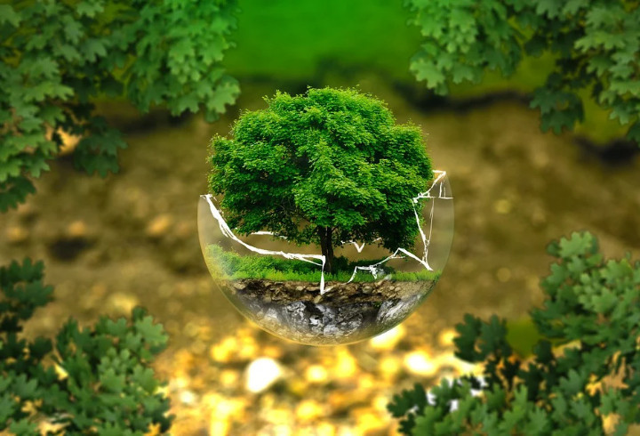 Рабочая встреча с проектом Фонда «Зеленая кисточка»- «Моя...