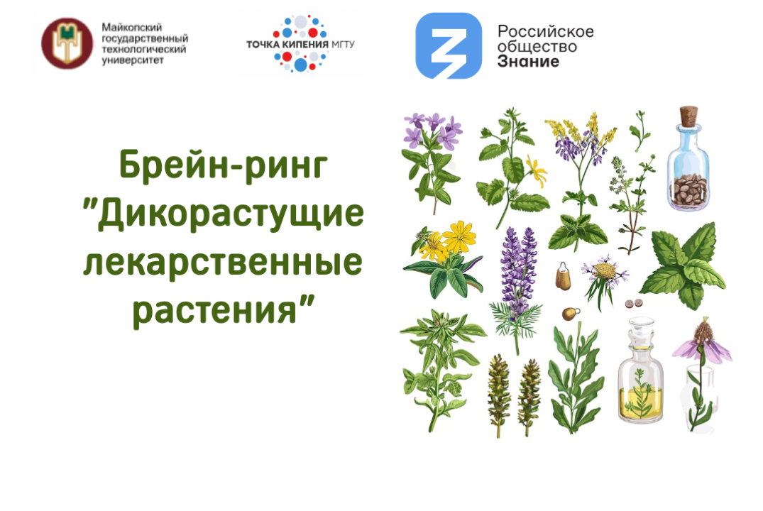 Брейн-ринг "Дикорастущие лекарственные растения"