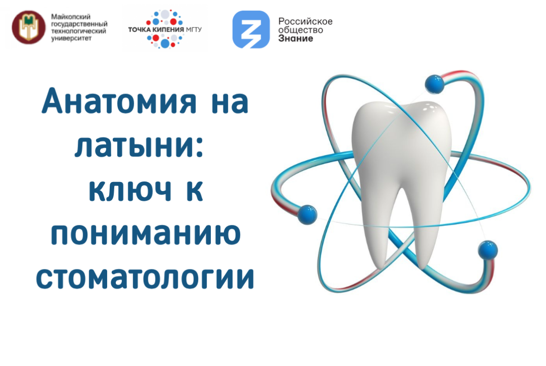 Анатомия на латыни: ключ к пониманию стоматологии