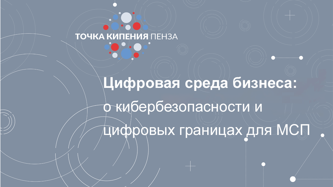 Цифровая среда бизнеса: о кибербезопасности и цифровых границах для МСП