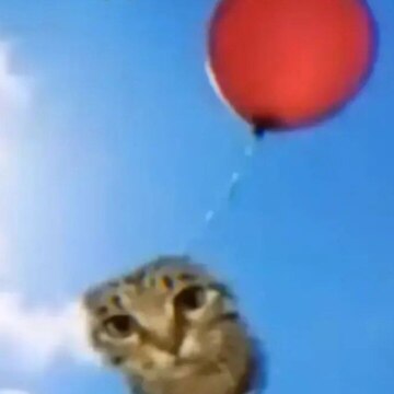 Овчинников Данил Вадимович