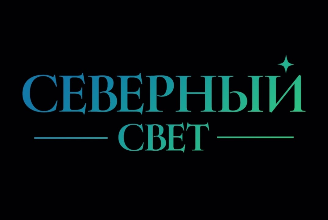 Новогодняя встреча по итогам проекта "Северный свет"