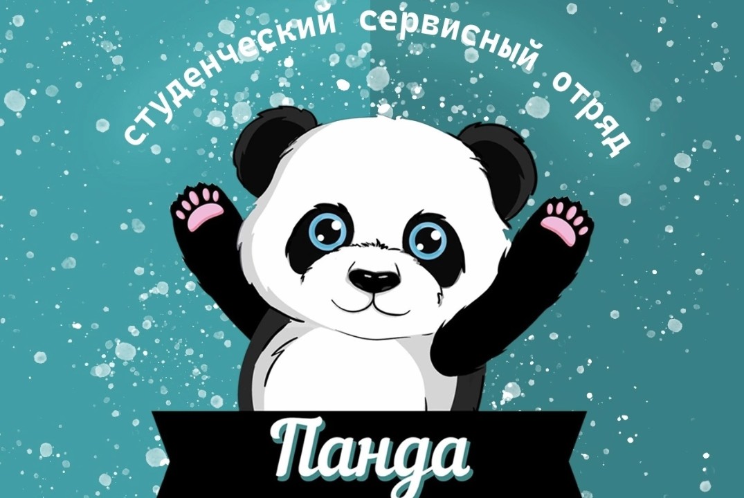 Собрание ССерво "Панда"