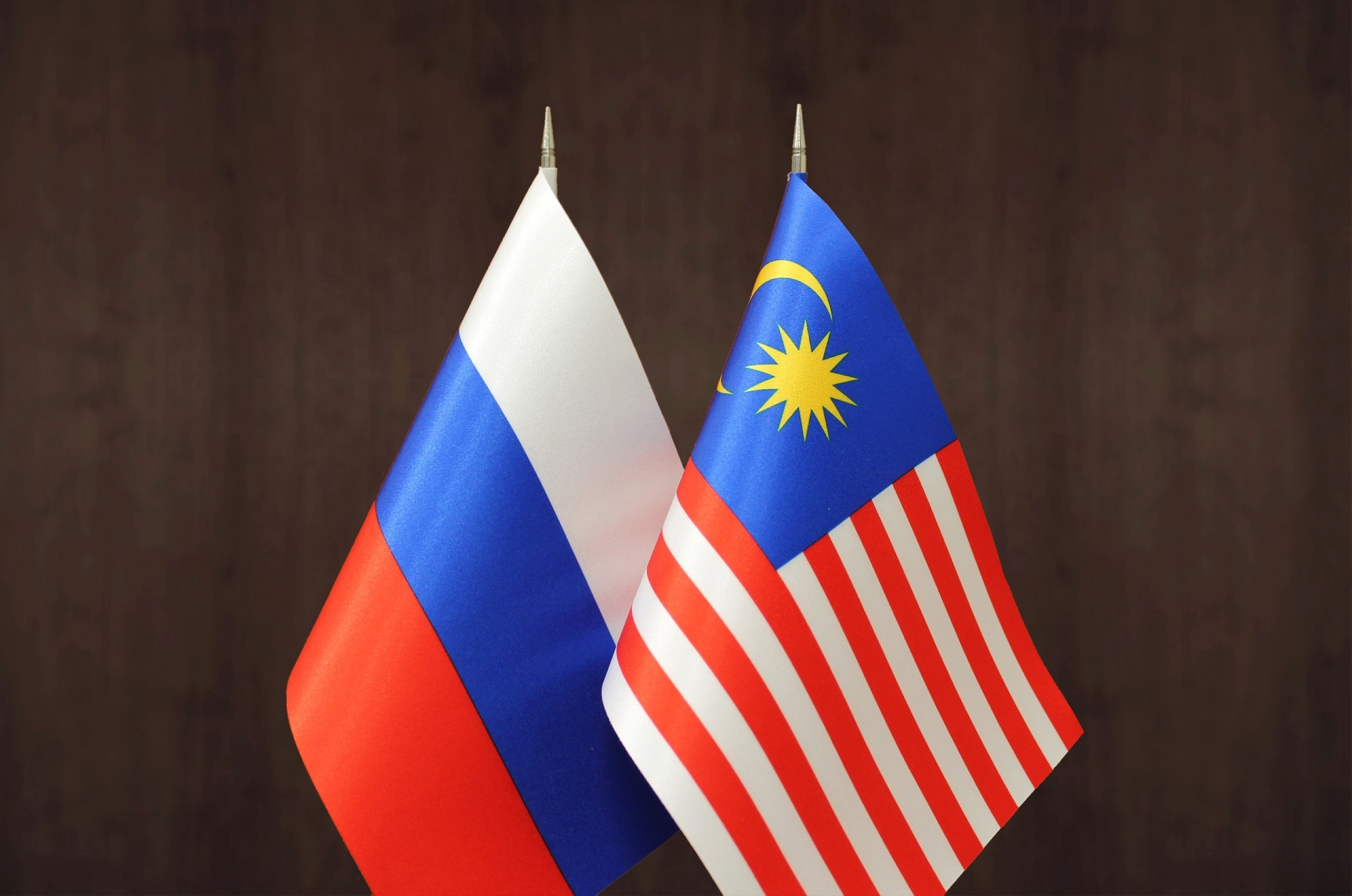 Вебинар "Час с торгпредом. Малайзия."