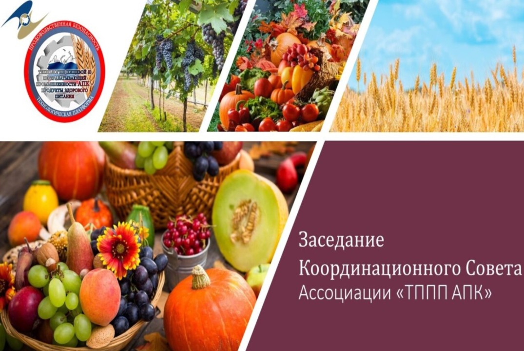 Заседание Координационного Совета Ассоциации "ТППП АПК"