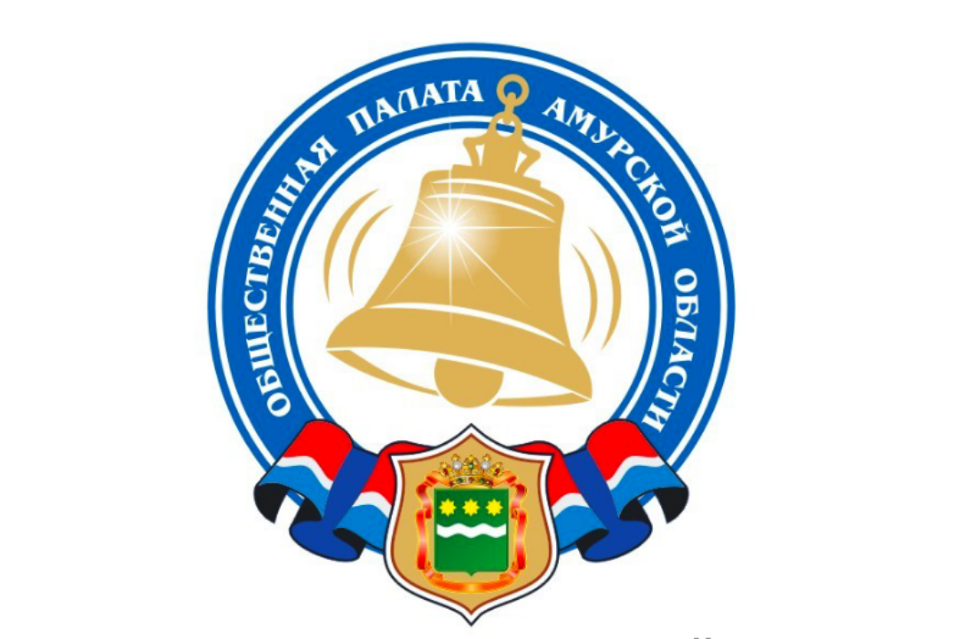 Экспертный совет при Общественной палате Амурской области...