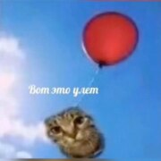 Волова Саида Муратовна