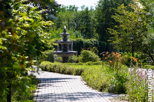 Экологическое просвещение в Амурской области: наука, образование, искусство