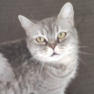 Шургин Василий Алексеевич