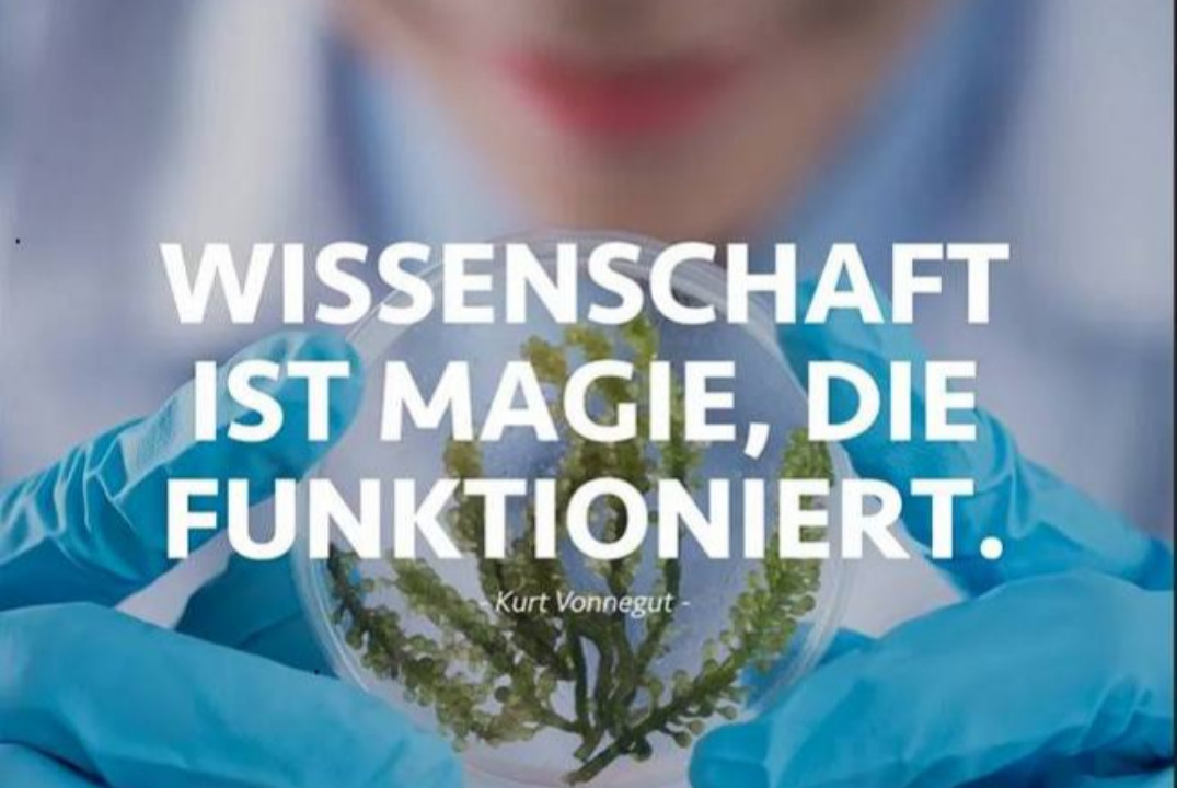 Презентация научных проектов "Немецкие ученые и их вклад...