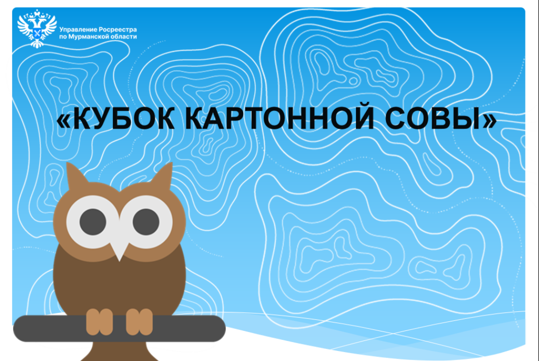 Кубок картонной совы