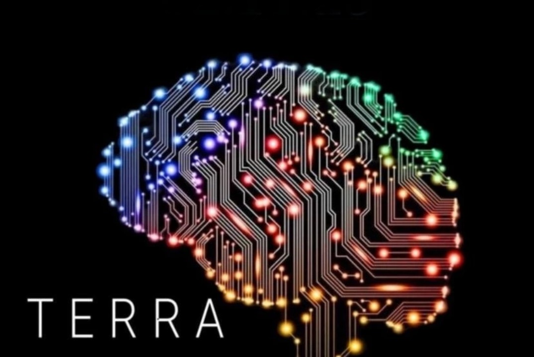 Программа наставничества бизнес-сообщества Терра.Ярославл...