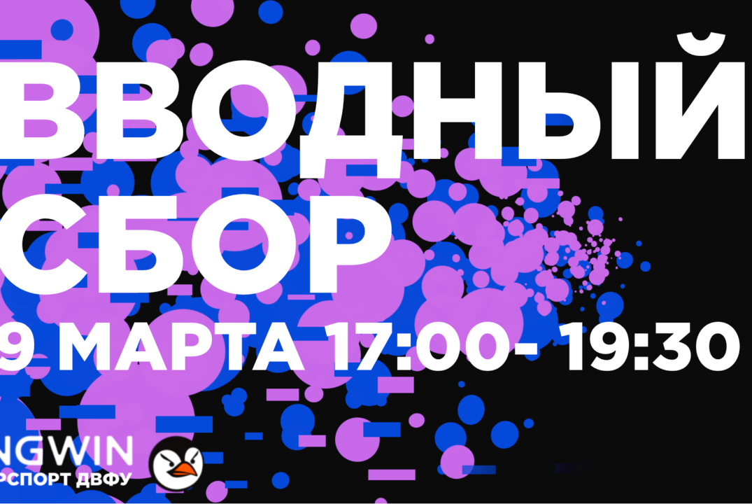 Вводный сбор PINGWIN