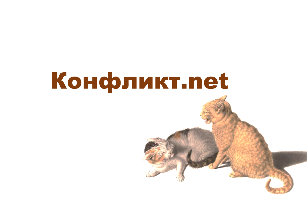 Тренинг "Конфликт.net"