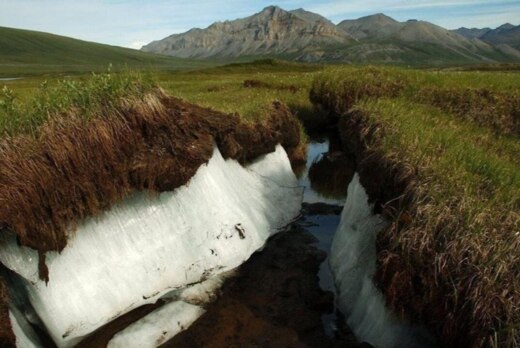 Инновационные исследования в экстремальном почвоведении