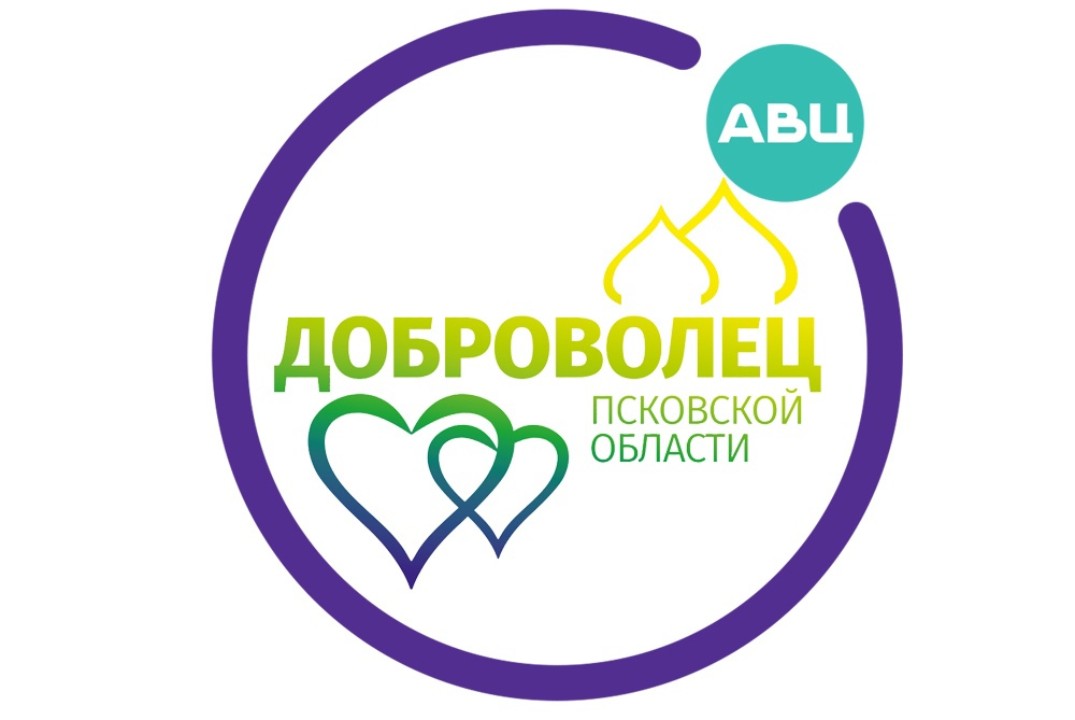 Итоговое добровольческое мероприятие Псковской области
