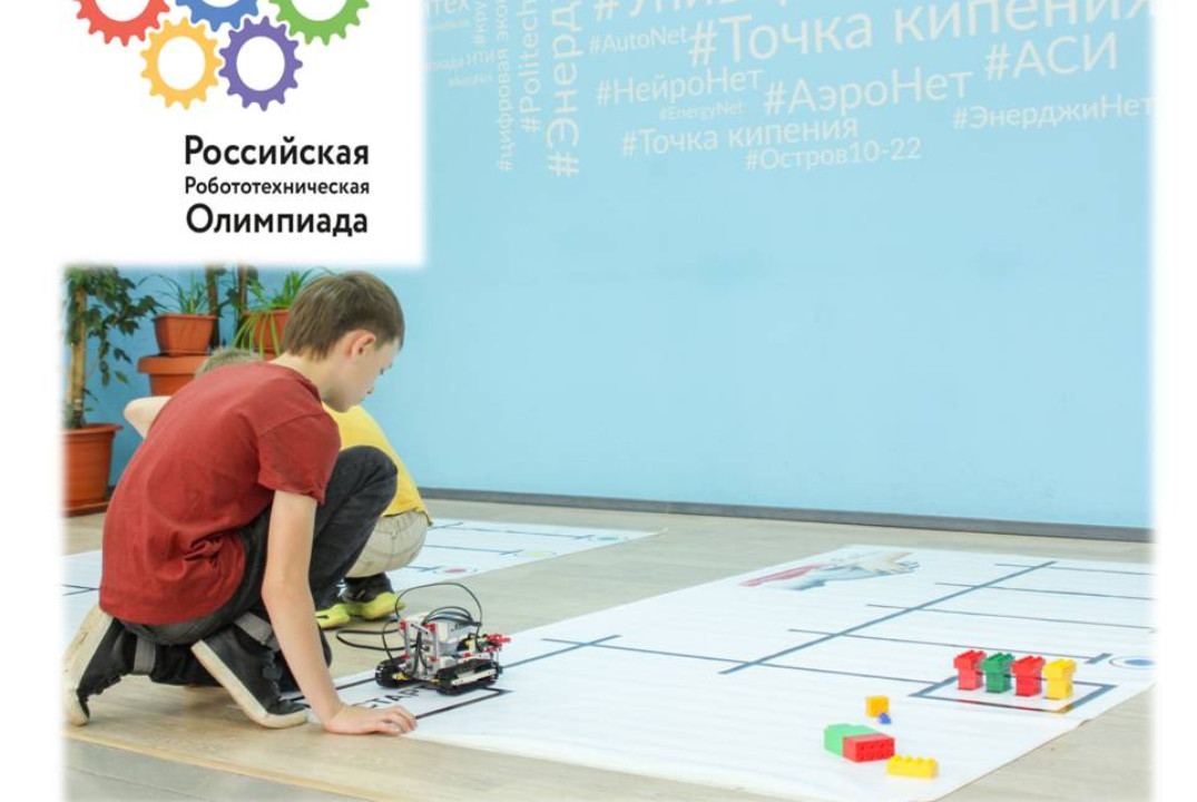 Основные проблемы, пути их решения при подготовке к олимп...