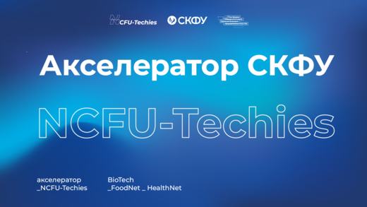 Лекция «Lean Startup»#Акселератор