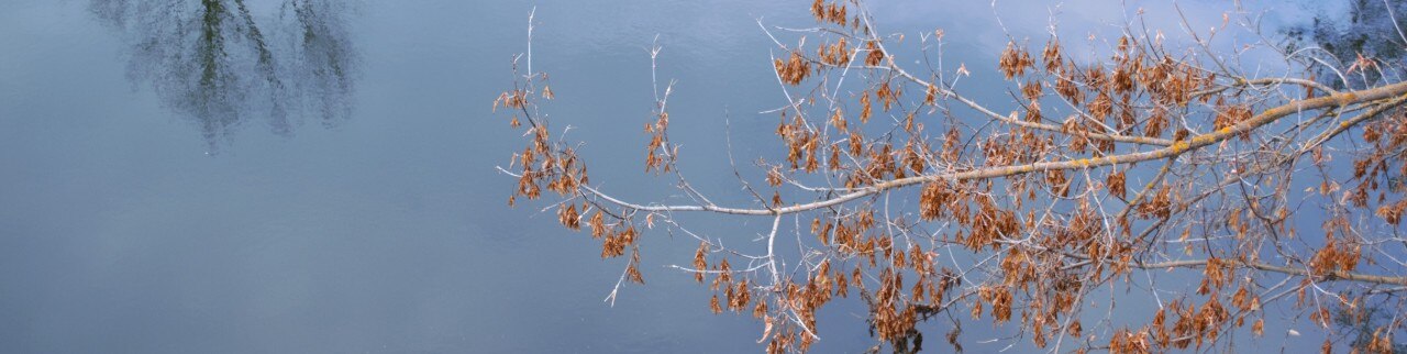 Обложка профиля