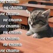 Карачёв Вадим Станиславович Карачёв Вадим Станиславович