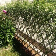 Иванюк Александр Иванюк Александр