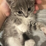 Ху Юйци Ху Юйци