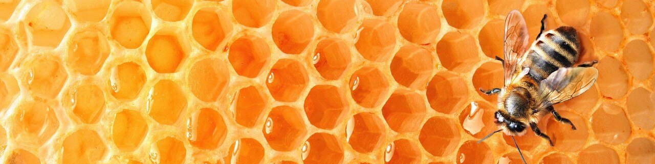 Обложка профиля