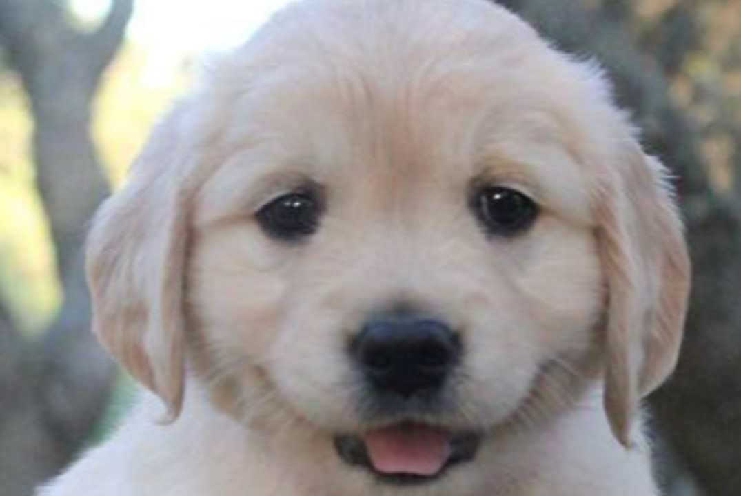 Тренировка команды для ТТН